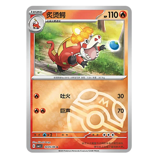 Crocalor CBB1C G 04 05/08