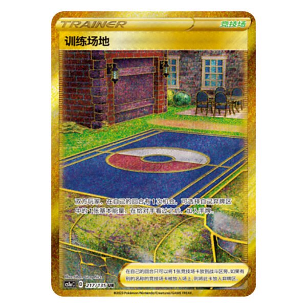 Training Court CS1aC D 217 135 UR