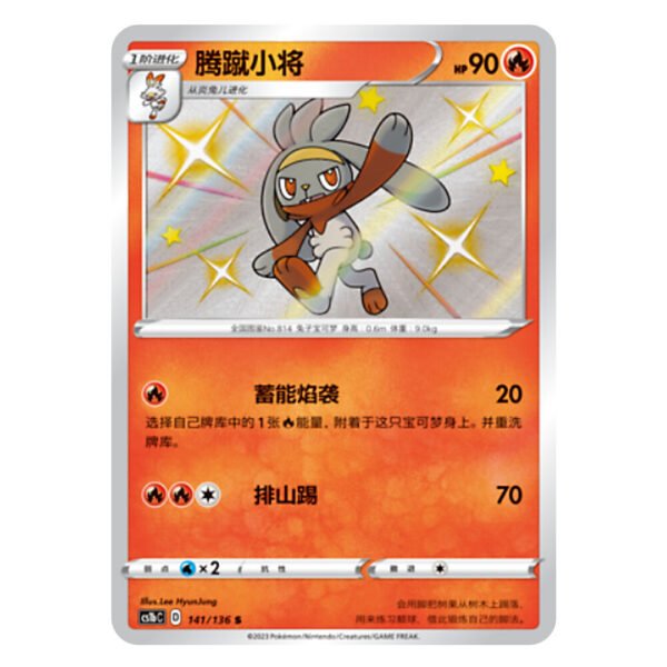 Raboot CS1bC D 141/136 S