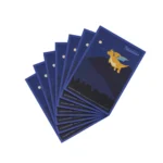 Pokémon ROAD TRIP Series Merchandise - Image 3